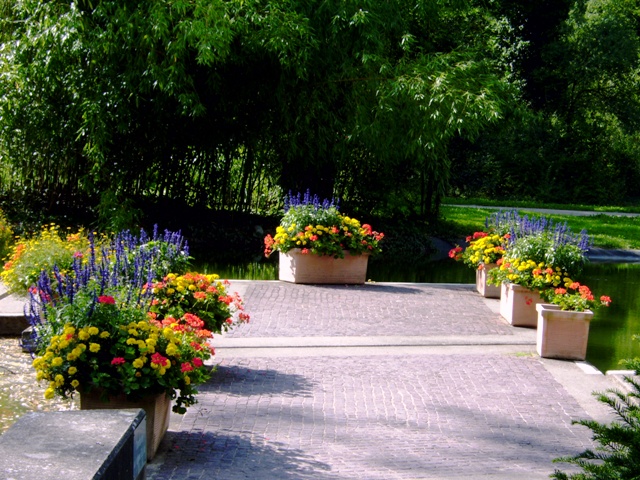 Blumen im Kurpark
