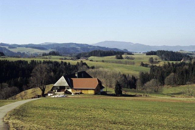 Schwarzwald Bauernhaus