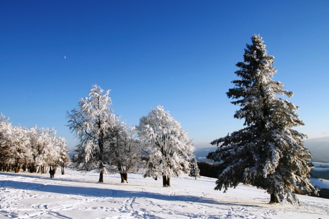 Winter Landschaft im Schwarzwald
